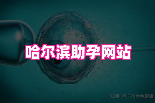 nub孕网 2