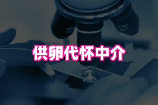 nub孕网 3